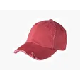 District Distressed Cap