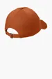 District Distressed Cap — view 5