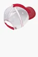District Mesh Back Cap — view 4