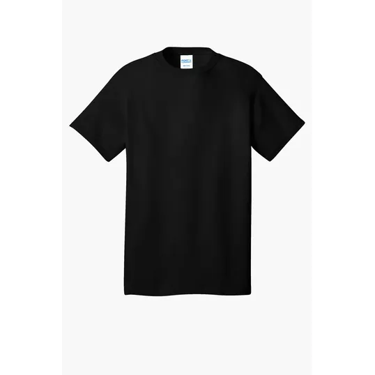 Port & Co Core Cotton Tee — view 31