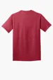 Port & Co Tall Core Cotton Tee — view 30