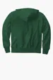 Champion Reverse Weave Hooded Sweatshirt — view 18