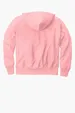 Champion Reverse Weave Hooded Sweatshirt — view 22