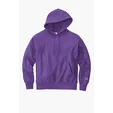 Champion Reverse Weave Hooded Sweatshirt — view 11