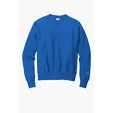 Champion Reverse Weave Crewneck Sweatshirt — view 2