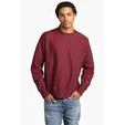 Champion Reverse Weave Crewneck Sweatshirt