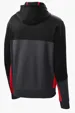 Sport-Tek Tech Fleece Colorblock Full-Zip Hooded Jacket — view 9