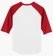 Sport-Tek Colorblock Raglan Jersey — view 38