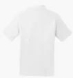 Sport-Tek Dry Zone Raglan Polo — view 19