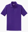 Sport-Tek Dry Zone Raglan Polo — view 6