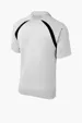 Sport-Tek Dry Zone Colorblock Raglan Polo — view 15