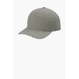 tentree Hemp Snapback Cap