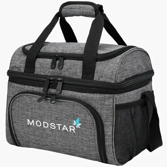 Starline Parcel 24 Can Cooler Bag — view 4