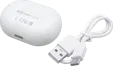 BoomPods™ Echobuds True Wireless Earbuds — view 3