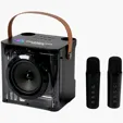 Starline 15W Karaoke Wireless Speaker with 2 Mics