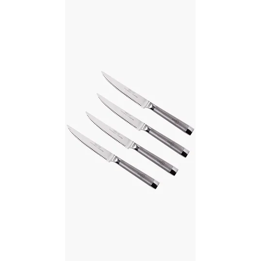Oneida® 4 Piece Stainless Steel Steak Knife Set