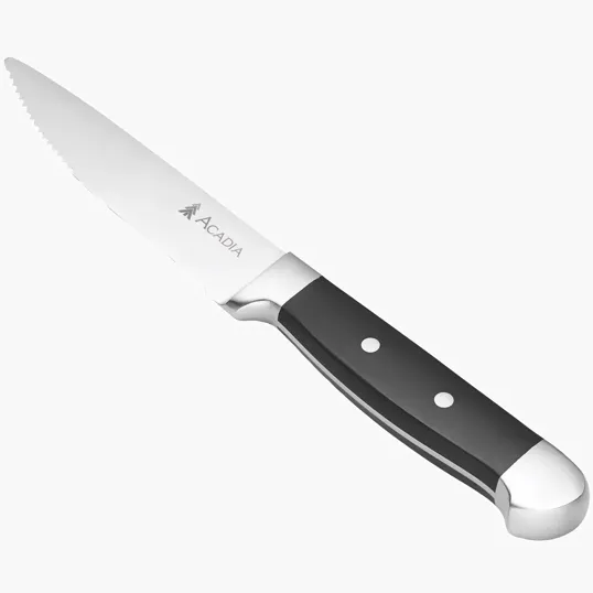 Oneida® Jumbo 4 Piece Steak Knife Set — view 3