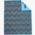 Pro Vision Festival Blanket