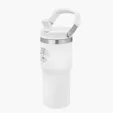 Urban Peak® 20oz Pinnacle Flip Straw Tumbler