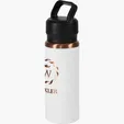 Urban Peak® Dual Top Copper Water Bottle, 28 oz