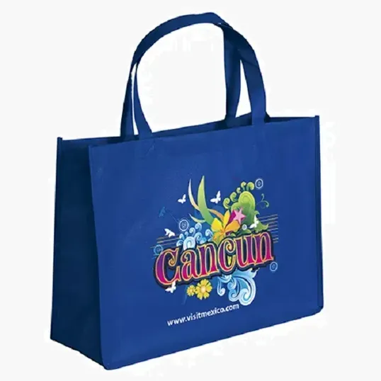 Franklin Celebration Tote - ColorVista — view 5