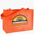 Franklin Celebration Tote - ColorVista — view 28
