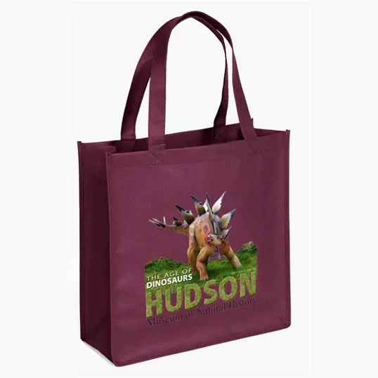 Abe Celebration Tote - ColorVista — view 12