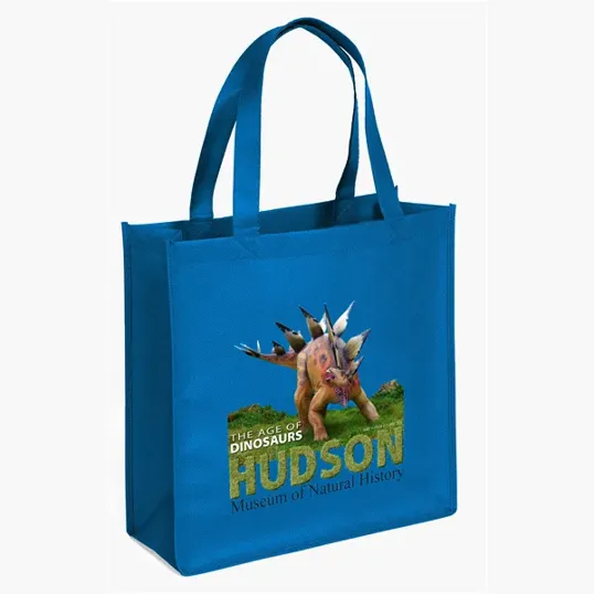 Abe Celebration Tote - ColorVista — view 13