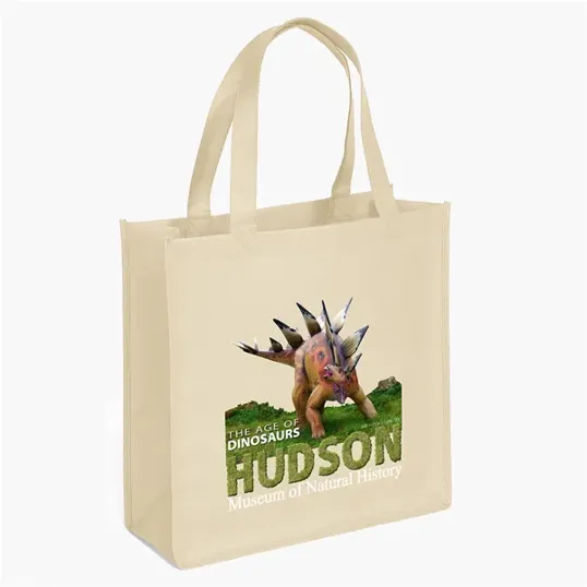 Abe Celebration Tote - ColorVista
