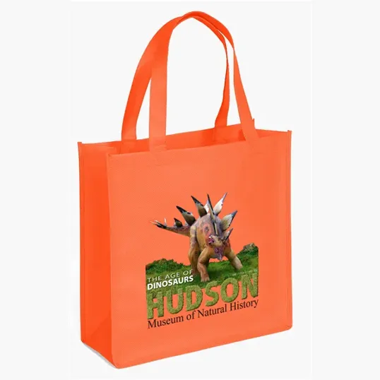 Abe Celebration Tote - ColorVista — view 15