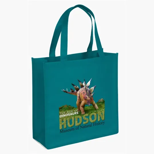 Abe Celebration Tote - ColorVista — view 16