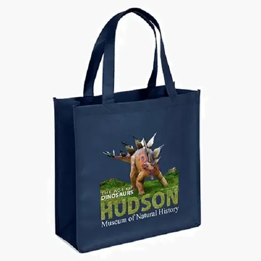 Abe Celebration Tote - ColorVista — view 4