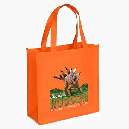 Abe Celebration Tote - ColorVista — view 6