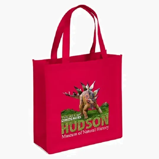 Abe Celebration Tote - ColorVista — view 7