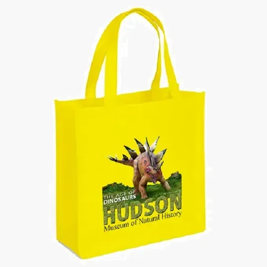 Abe Celebration Tote - ColorVista — view 8