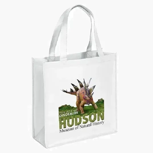 Abe Celebration Tote - ColorVista — view 9