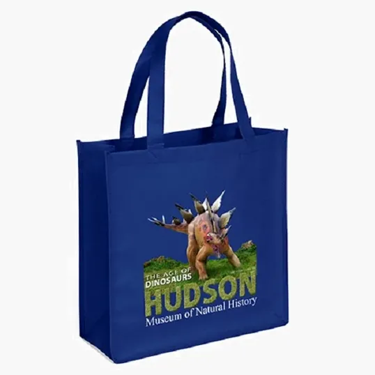 Abe Celebration Tote - ColorVista — view 11