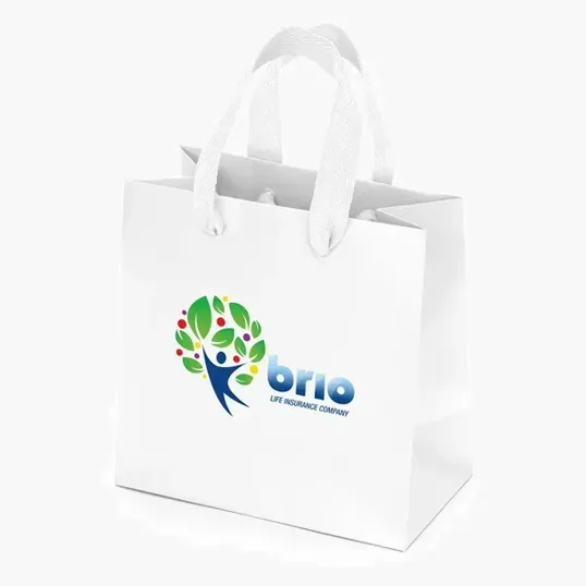 Dublin Matte Eurotote with Woven Handles