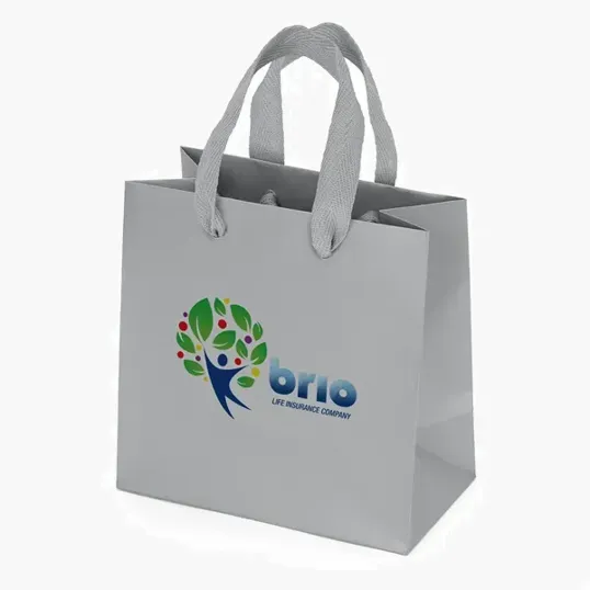 Dublin Matte Eurotote with Woven Handles — view 7