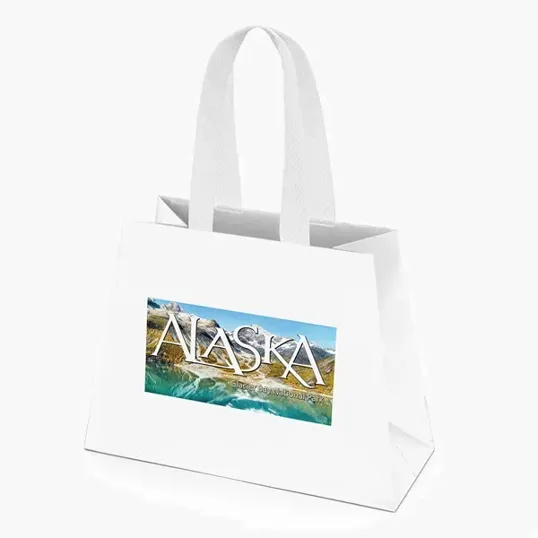 Everest Trapezoid Eurotote, Matte-Laminated Paper Tote — view 2