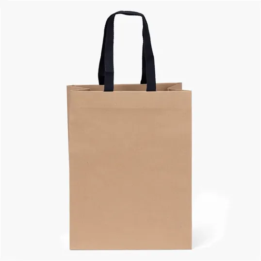 Eco Cedar Woven Handle Eurotote, Recycled Kraft Paper — view 2