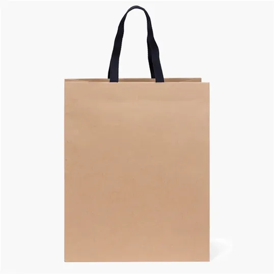 Eco Teak Woven Handle Eurotote, Recycled Kraft Paper — view 2