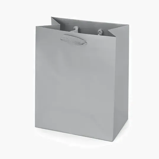 Berlin Matte Eurotote with Foil Print — view 14