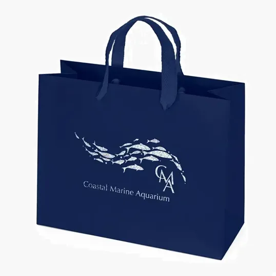 Paris Matte Eurotote with Foil Print — view 4
