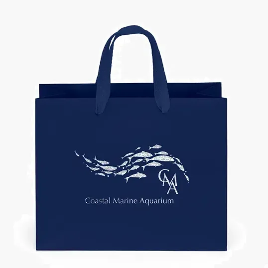 Paris Matte Eurotote with Foil Print