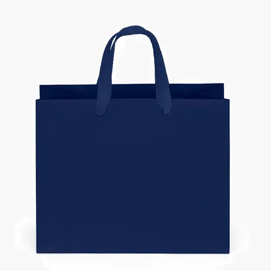 Paris Matte Eurotote with Foil Print — view 6