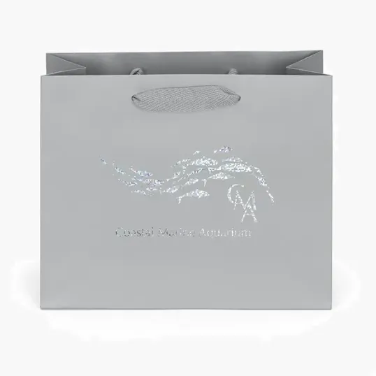 Paris Matte Eurotote with Foil Print — view 7