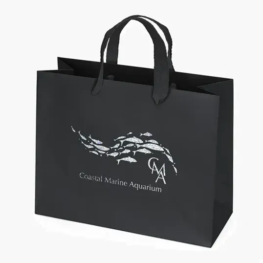 Paris Matte Eurotote with Foil Print — view 2