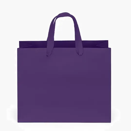 Paris Matte Eurotote with Foil Print — view 13