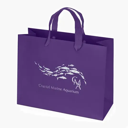 Paris Matte Eurotote with Foil Print — view 14